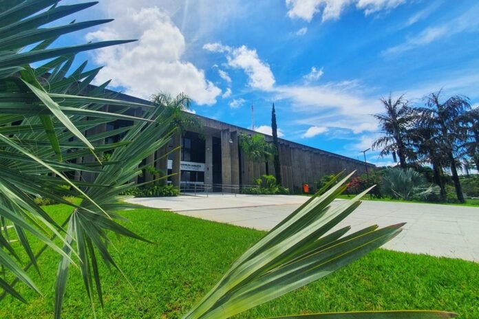 Modern concrete campus building with glass doors, framed by palm trees and a green lawn on a sunny day.