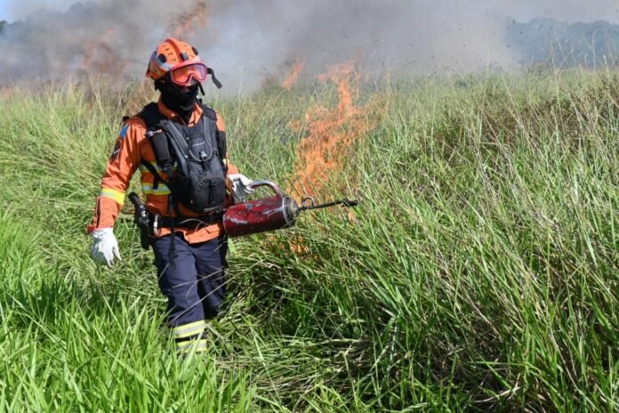 Firefighter in orange gear wearing a mask and helmet using a red extinguisher to put out tall grass fire in a field.
