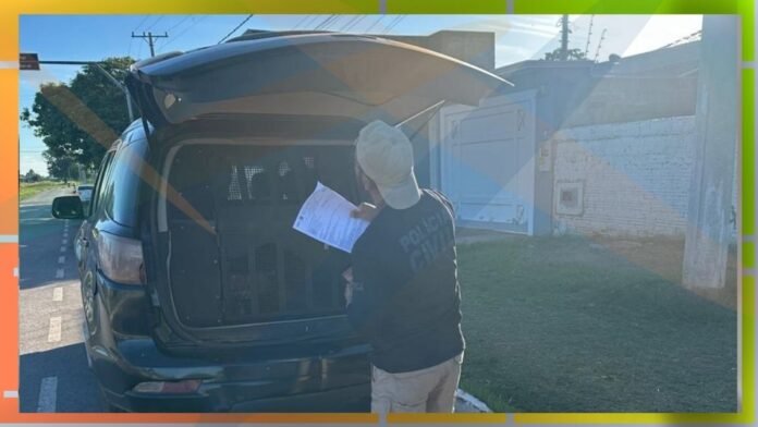 Police officer in a beanie reviews a document at the open rear of a police SUV with a transport cage, on a street corner.