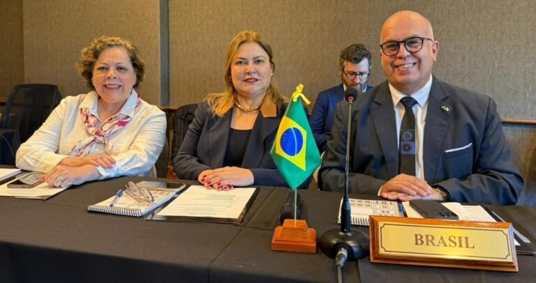 Three professionals in business attire sit at a conference table; a Brazilian flag and the Brasil nameplate are visible on the table.