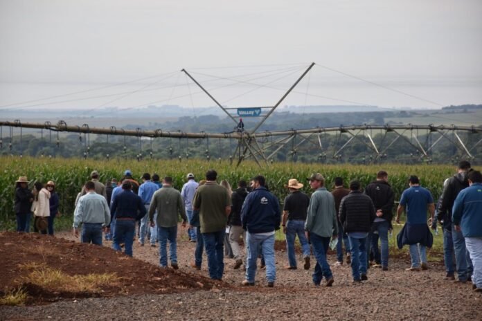 Group of people walking along a dirt path toward a large center-pivot irrigation system over a cornfield.