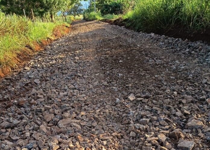 Unpaved rocky rural road with loose gravel and green vegetation along the sides.