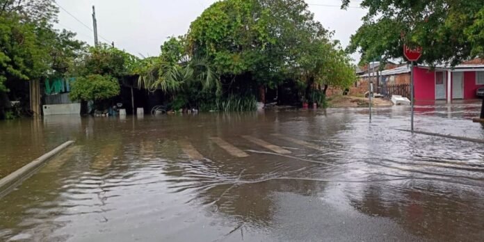 Flooded urban street with water covering the road and visible crosswalk stripes, trees and houses on both sides, and a stop sign in the distance under an overcast sky.