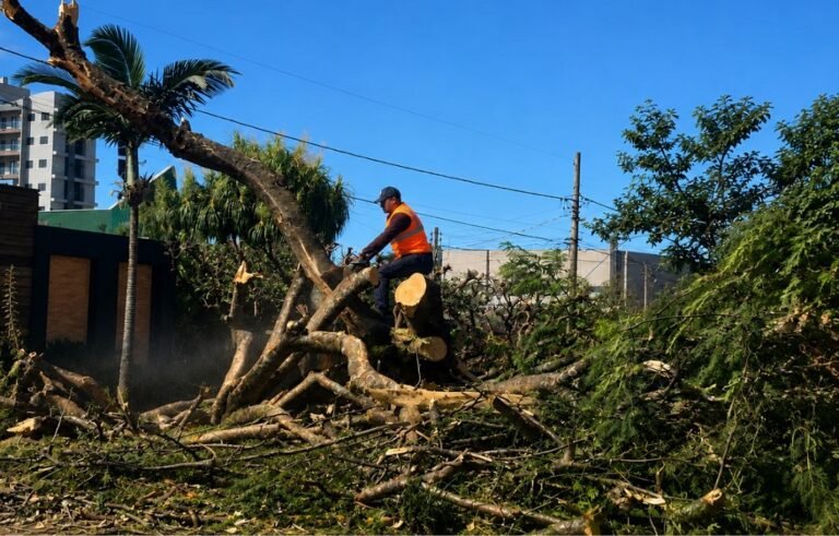 Worker in an orange safety vest on a fallen tree, cutting branches with a chainsaw in a bright outdoor scene