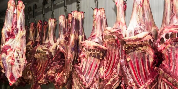 Hanging beef carcasses suspended on hooks in a meat processing facility, with exposed rib sections and varied red meat tones