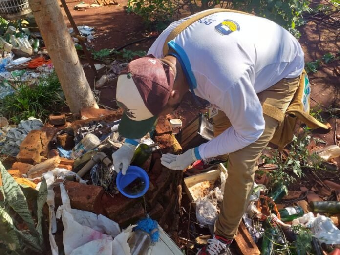 Volunteer wearing gloves and a cap sorting litter from a brick pile outdoors.
