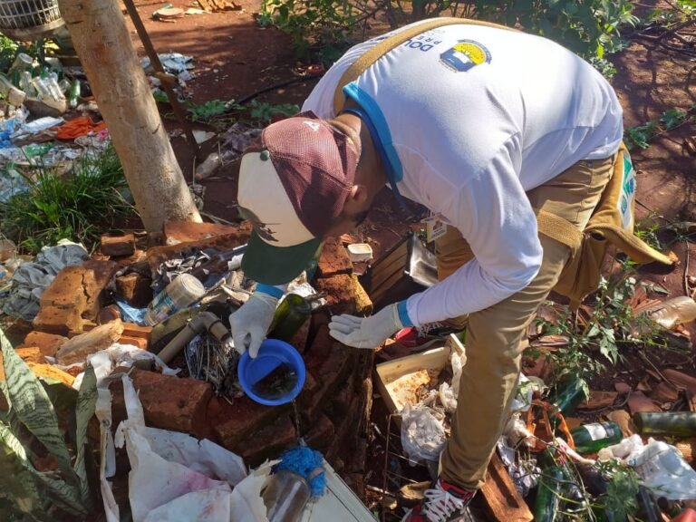 Volunteer wearing gloves and a cap sorting litter from a brick pile outdoors.