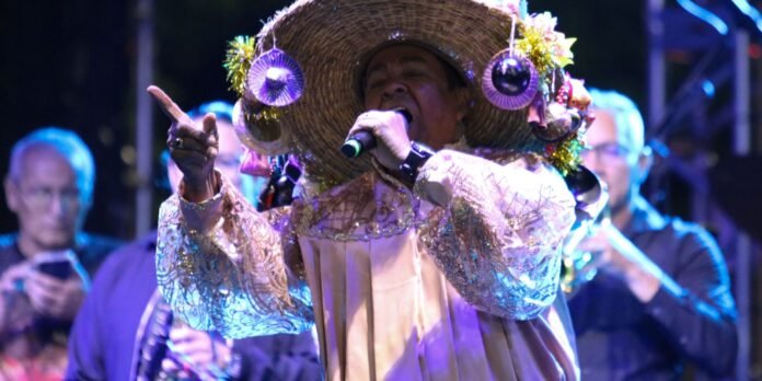 Singer in a glittery embroidered outfit and an oversized decorated hat, microphone in hand on stage.