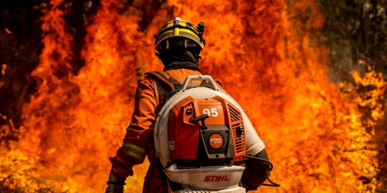 STF cobra plano contra incêndios na Amazônia Legal diante do El Niño