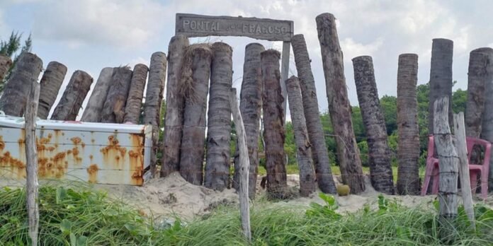 Row of weathered palm trunks forming a makeshift fence on a sandy beach, with a sign overhead reading 'Pontal do Fragoso'.