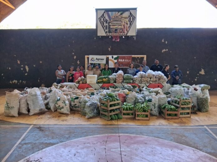 Group of people standing behind tables loaded with bags and crates of vegetables at a community food drive in a gym/basketball court.