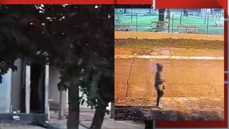 Left: tree-lined street with a pale building; Right: person standing on cracked orange-brown ground in a park-like area.
