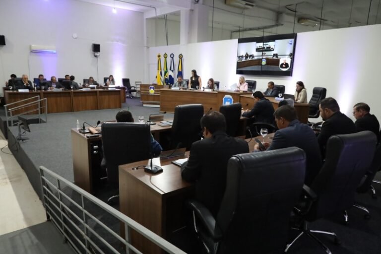 City council meeting in a modern chamber with officials at curved desks, microphones, flags behind, and a large screen on the wall.