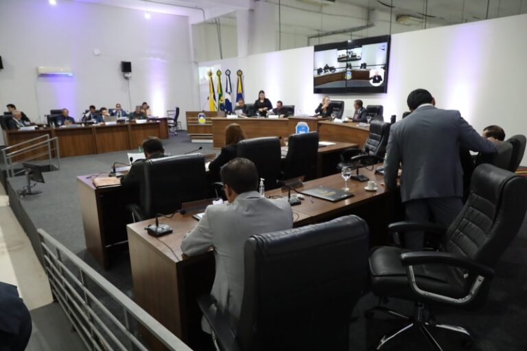 Council chamber scene with officials seated around a U-shaped conference table, flags behind the dais, and a large display screen showing a video conference.