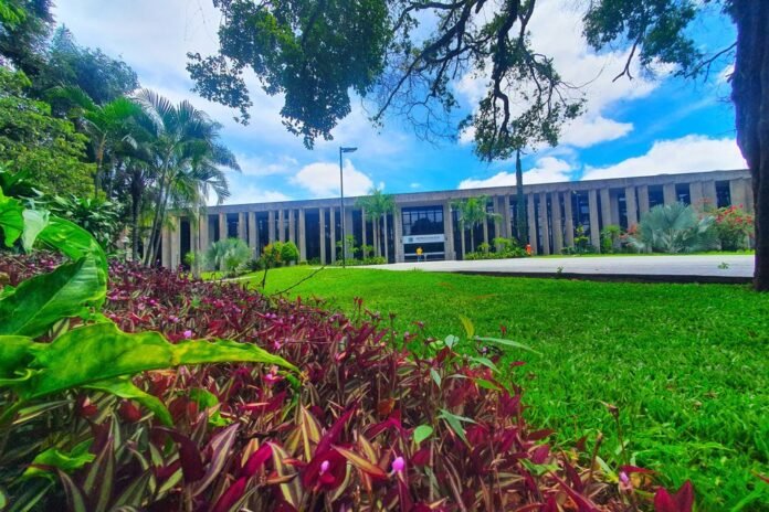 Front view of a modern, columned building with glass doors, surrounded by a green lawn and tropical plants in the foreground.