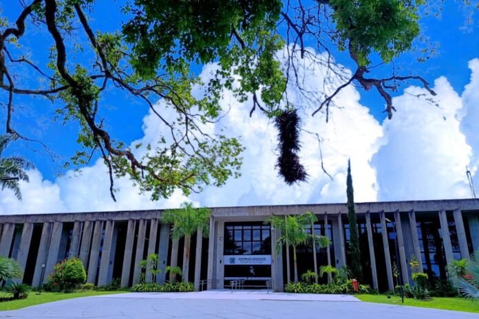 Front view of a modern building with tall vertical concrete columns, glass doors, and tropical landscaping under a bright blue sky with clouds, a large nest hanging from tree branches above.