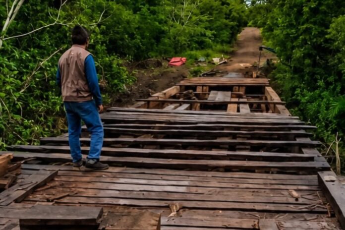 Man in a blue jacket and beige vest stands on a collapsed wooden bridge in a dense green forest, looking ahead.