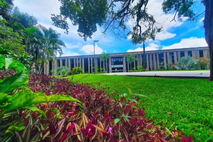 Modern low-rise building with tall vertical columns, surrounded by green lawn and tropical plants under a blue sky.