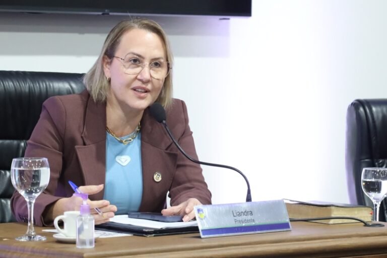 Woman in a brown blazer speaks into a microphone at a panel table; nameplate reads Liandra Presidente.