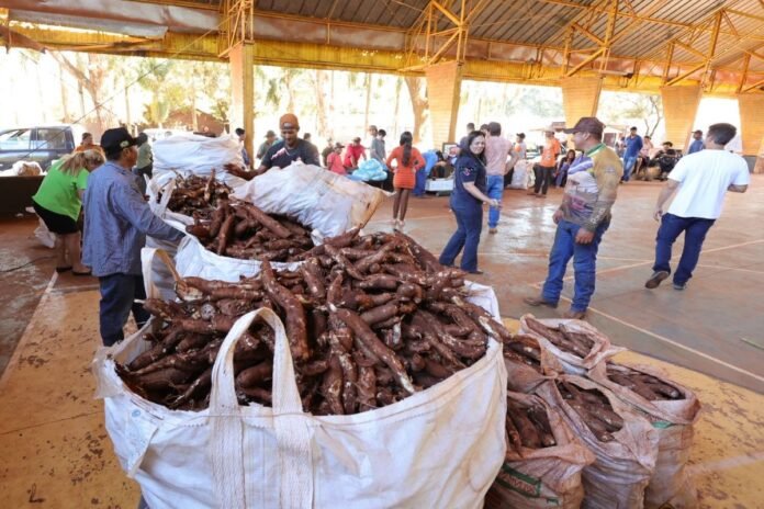 People at a covered market or distribution event examining large sacks of yams piled high under a metal roof.