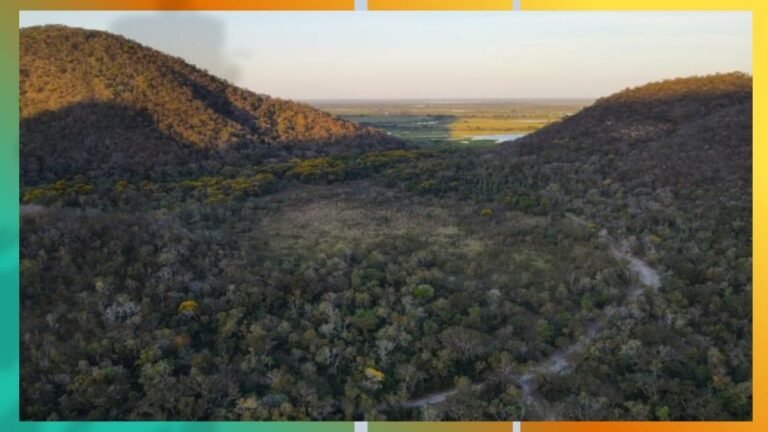 A forested valley between two rolling hills with a distant flat plain beyond the trees and a winding dirt path through the woodland.