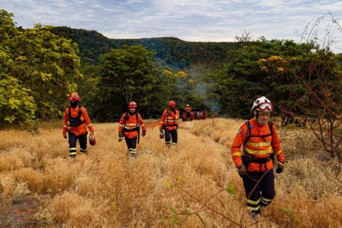 Firefighters in orange turnout gear walk through a dry field toward a smoky forest, with a red fire truck in the distance.
