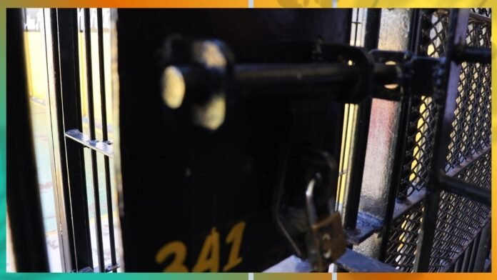 Close-up of a padlock securing a metal gate with bars and mesh fencing; the number 241 is visible on the gate.