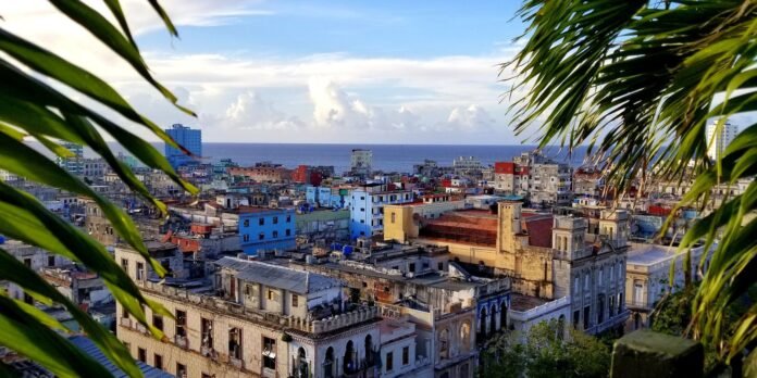 Coastal city skyline with colorful, weathered buildings by the ocean, framed by palm fronds in the foreground.