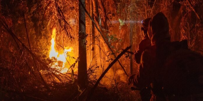 Two people in hooded jackets stand at the edge of a forest as a large fire burns trees and brush nearby at night.