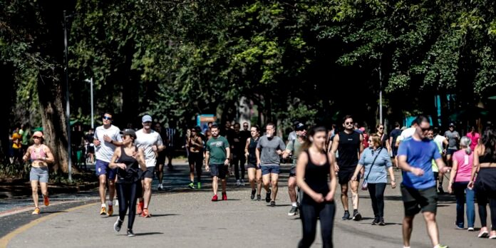 Diverse group of people jogging and walking on a tree-lined park road during daytime.