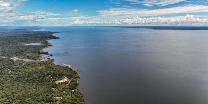 Aerial view of a forested coastline meeting a large calm body of water under a blue sky with scattered clouds.