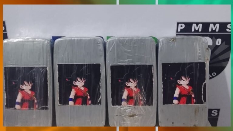 Four grey, plastic-wrapped blocks in a row, each with a sticker showing a Dragon Ball character in a red gi (Goku).