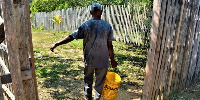 Back view of a man wearing a cap and tie-dye shirt, walking away in a sunlit yard with wooden slat fences, carrying a yellow bucket labeled Bianco in his left hand.
