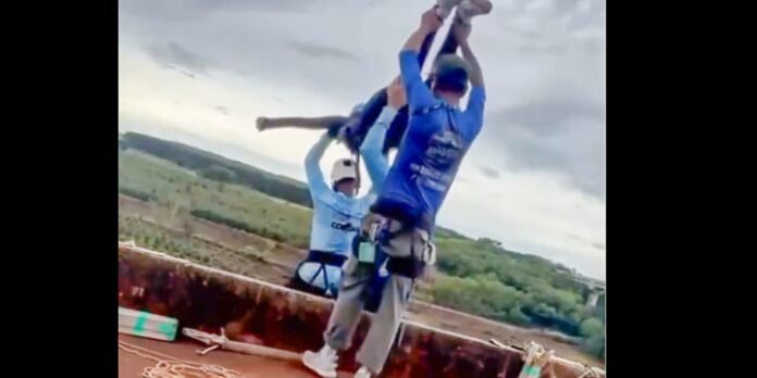Two workers on a raised platform, one lifting a long blade toward the other as they brace for a cut, outdoors with safety gear.