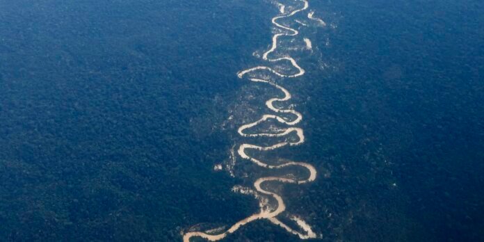 Aerial view of a sinuous river winding through dense forest.”] ,