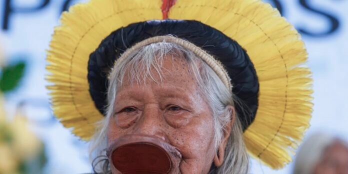 Close-up of an elderly woman wearing a large yellow hat with a black band and a big brown prosthetic nose, smiling slightly.
