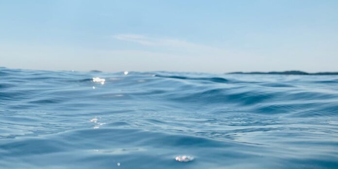 Blue ocean surface with gentle waves under a clear sky; distant land on the horizon.