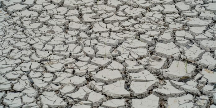 Dried, cracked earth with light-gray soil and sparse grass blades between the cracks, showing a drought-stricken surface.