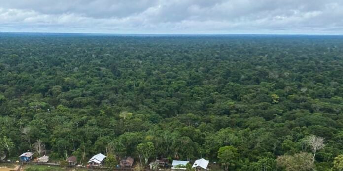 Aerial view of dense green rainforest with a small row of houses at the forest edge and a cloudy sky above.