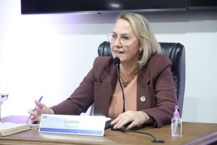 Woman in a burgundy blazer speaks into a microphone at a panel, with a nameplate reading 'Liandra' in front of her.