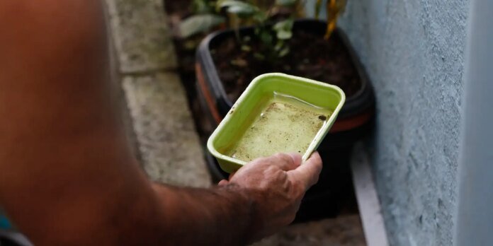 Close-up of an elderly hand holding a small lime-green tray with dirty water, with a potted plant and blue wall in the background.