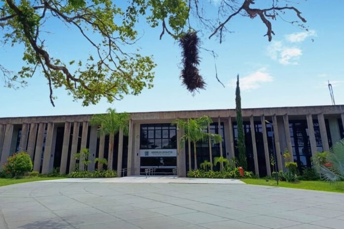 Modern government building with tall concrete vertical columns, palm trees, and a paved forecourt under a blue sky; a hanging nest-like object is suspended from a tree branch.