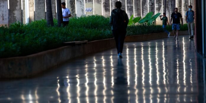 A person walks away from the camera along a wet, highly reflective walkway lined with plants and tall concrete columns; other people in the background.
