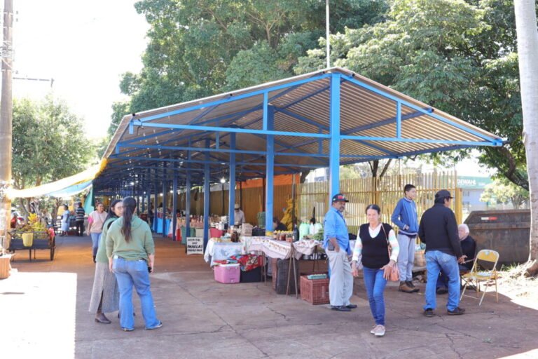 Open-air market with a blue metal-framed canopy and stalls selling goods, with people browsing and chatting.