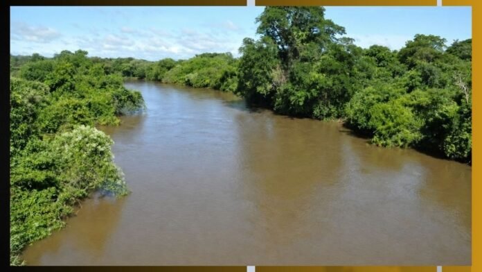 Wide muddy river flowing between dense green mangrove trees under a blue sky.