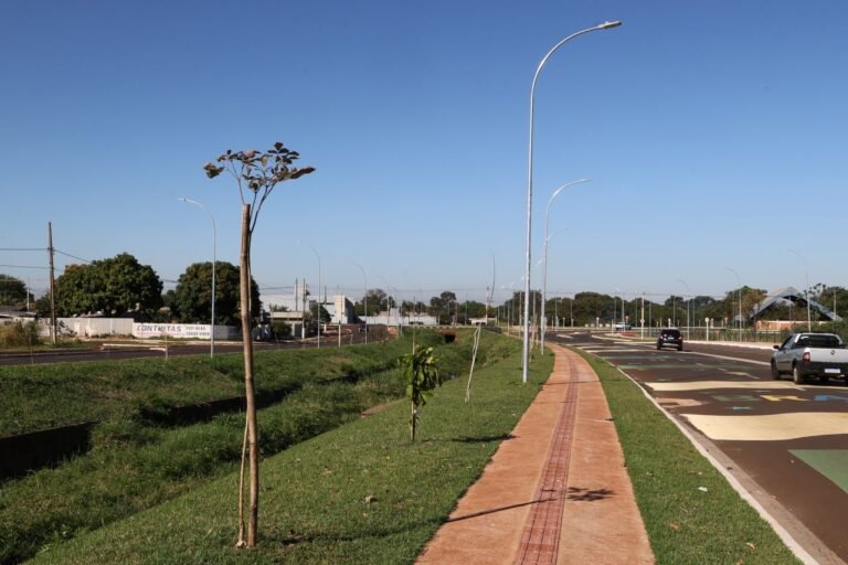 Prefeitura de Dourados conclui plantio de 360 mudas de ipês na Avenida dos Ipês