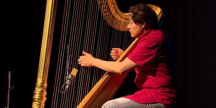 Musician in a red shirt playing a large golden harp on a dark stage with focused lighting.