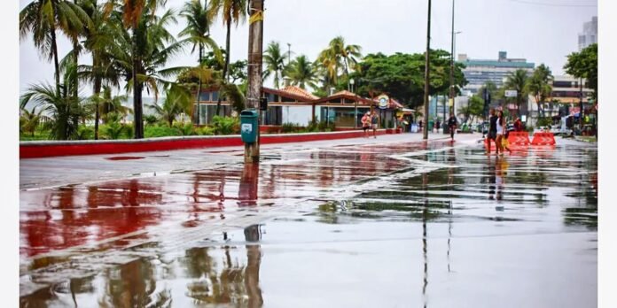 Rain-soaked promenade with palm trees, reflecting puddles, and pedestrians walking along a red-curbed street by the coast.