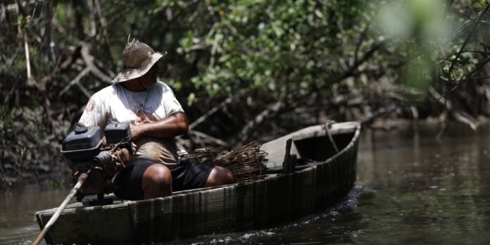 Fisherman in a straw hat sits in a small wooden boat with an outboard motor on a shaded mangrove waterway.