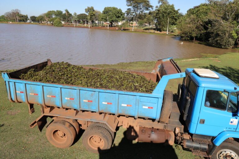 Blue dump truck parked on a grassy lakeside bank, loaded with green plant debris/mulch in the bed near trees and water.